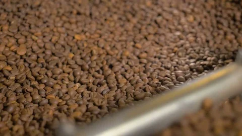 Coffee. Coffee beans. Stock Footage 82506007