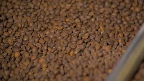 Coffee. Coffee beans. Stock Footage 82506009