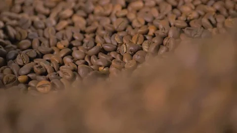 Coffee. Coffee beans. Stock Footage 82506024