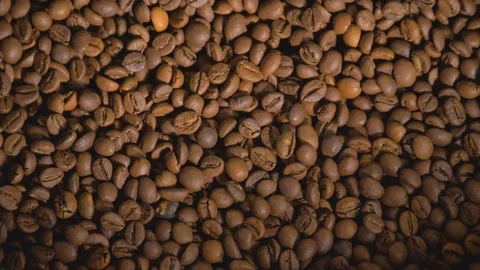 Coffee. Coffee beans. Stock Footage 82506054