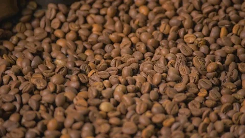 Coffee. Coffee beans. Stock Footage 82506067