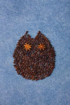 Coffee composition owl made of coffee seeds on blue background Stock Photos