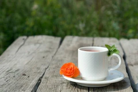 Coffee composition  with  white cup    of coffe and  orange  flower  and fres Stock Photos