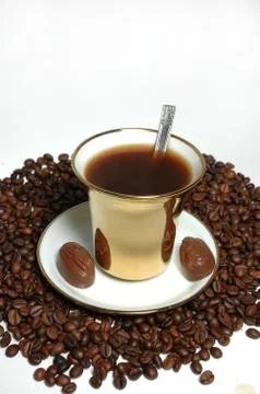 Coffee conception Stock Photos