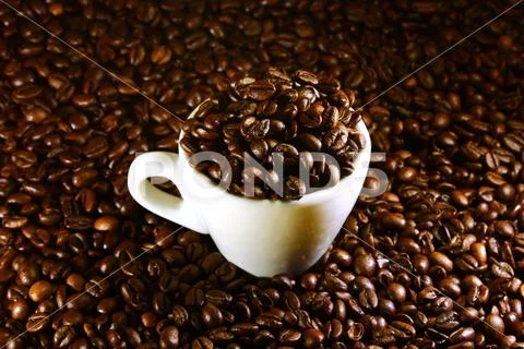 Coffee cup on a background of coffee beans Stock Photos