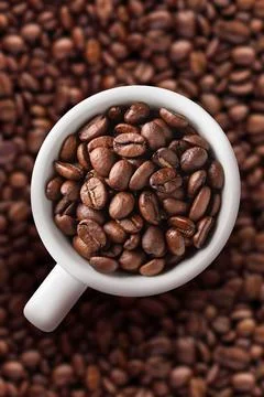 Coffee cup on beans background Stock Photos