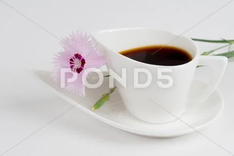 Coffee cup with carnation on white background Stock Photos