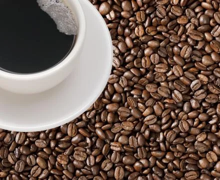 Coffee cup with coffee beans 库存照片