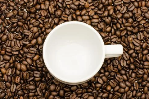 Coffee cup  on coffee beans Stock Photos