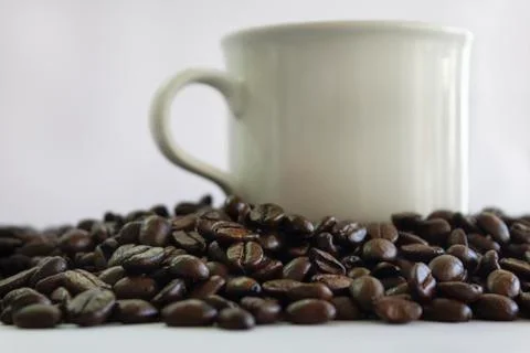 Coffee cup on coffee roasted beans.Creative concept ,isolated on white backgr Stock Photos