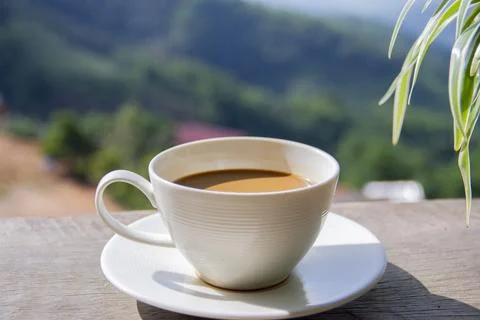 Coffee cup in coffee time on mountain view background Stock Photos
