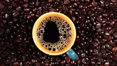 Coffee cup with fresh coffee on coffee beans Stock Footage 252655512