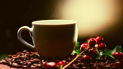 Coffee. Cup of hot coffee closeup and real coffee beans Stock Footage 74667400