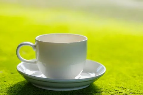 Coffee cup on Moss surface Stock Photos