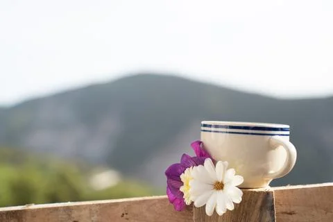 Coffee cup in the Nature Stock Photos