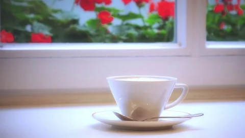 Coffee cup near window with red flowers Vídeo Stock 80314676