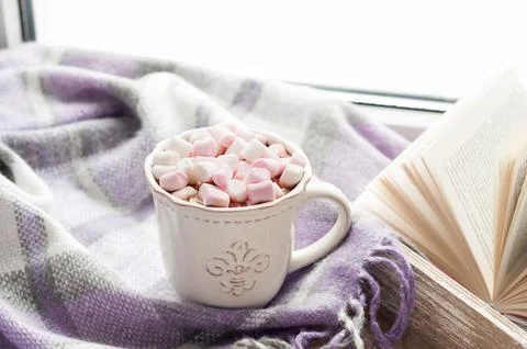 Coffee cup, open book, marshmallow and warm plaid on a window sill in winte.. Stock Photos