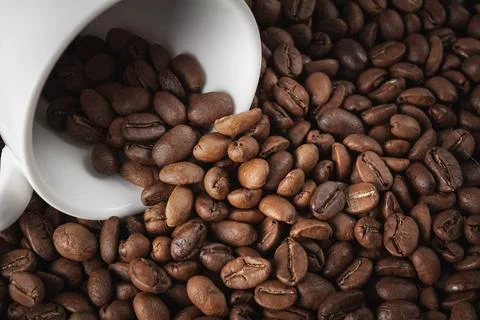 Coffee cup with roasted beans with copy space for your text Stock Photos