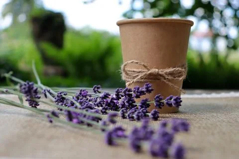 Coffee cup sits on a table beside fresh lavender flowers during a sunny day 스톡 사진