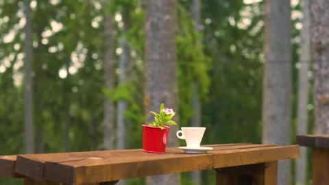 Coffee cup on a table in the pine forest. Vacation in a forest. Outdoors.	 Видео 136087009