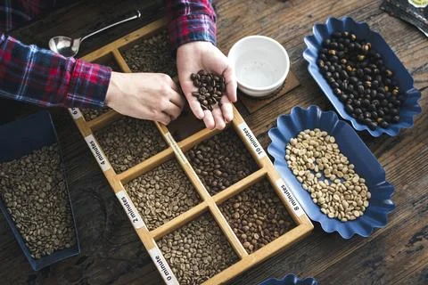 Coffee cupping workshop Foto stock