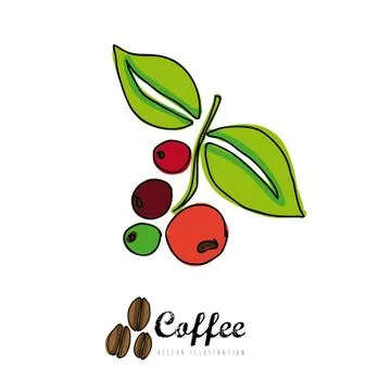 Coffee design over white background vector illustration Illustrazione stock
