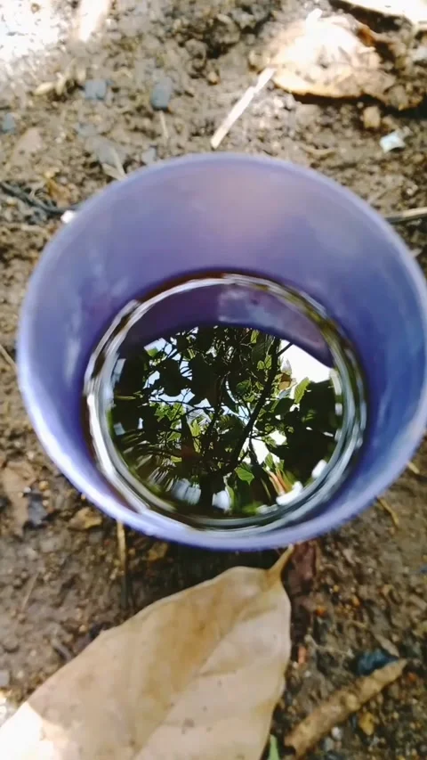 Coffee drink Stock Footage 231700372