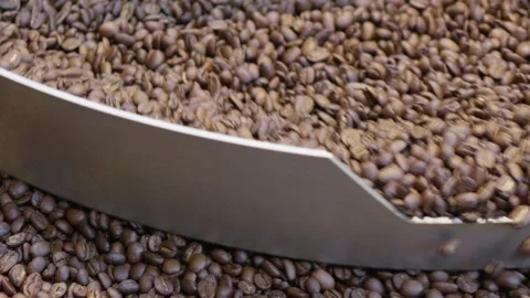 Coffee drink processing in a local roastery industrial setting coffee beans Stock Footage 302967129