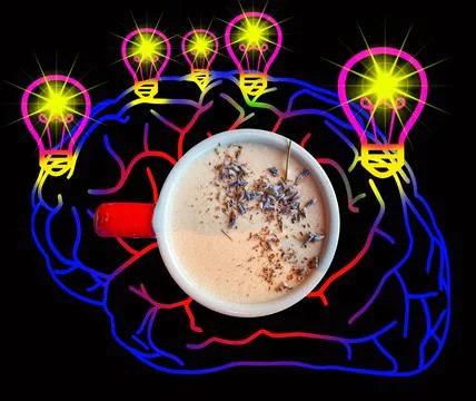Coffee effect on human brain Stock Illustration
