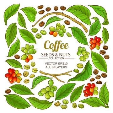 Coffee elements vector set Stock Illustration