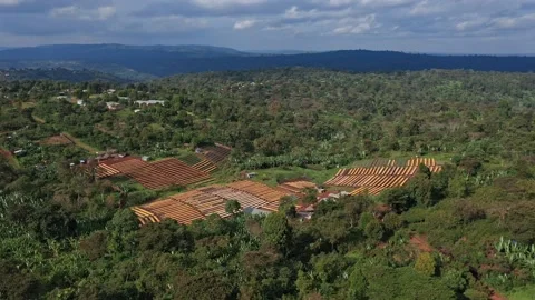 Coffee Factory The Making Of Coffee Bean Stock Footage 200859861