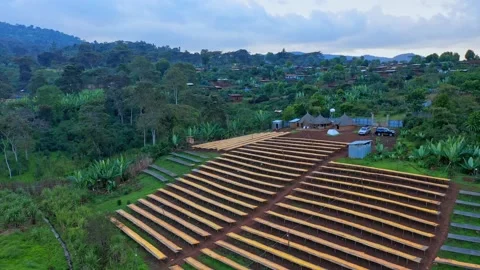 Coffee Factory The Making Of Coffee Bean Video stock 200860890