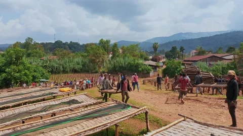 Coffee Factory The Making Of Coffee Bean Stock Footage 200861098