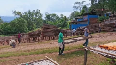 Coffee Factory The Making Of Coffee Bean Stock Footage 200861114