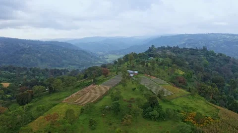 Coffee Factory The Making Of Coffee Bean Stock Footage 200861386