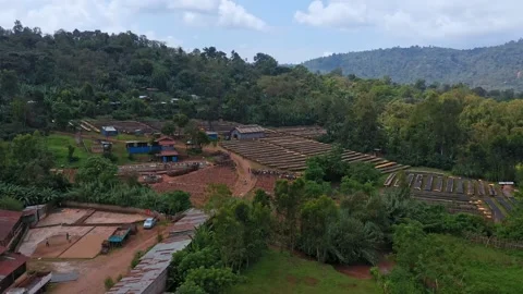 Coffee Factory The Making Of Coffee Bean Stock Footage 200861448