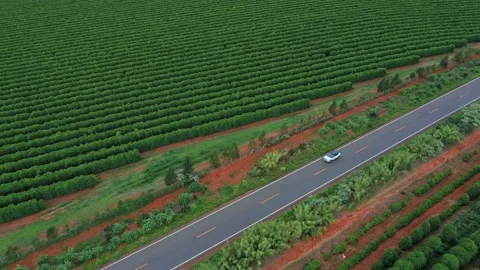 Coffee Factory The Making Of Coffee Bean Stock Footage 200872717