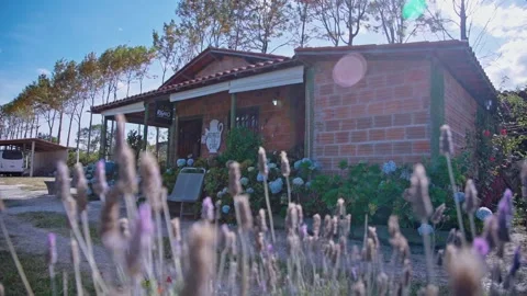 Coffee Factory The Making Of Coffee Bean Stock Footage 200872985