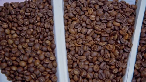 Coffee Factory The Making Of Coffee Bean Stock-Footage 200873111