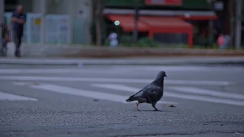 Coffee Factory The Making Of Coffee Bean Stock Footage 200874205