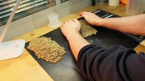 Coffee factory worker separating pile of coffee beans into handfuls Video stock 317092746