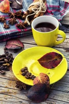 Coffee in the fall Stock Photos