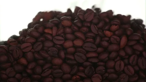 Coffee falls asleep screen on white background Stock Footage 90543562