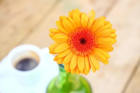 Coffee &amp; flower Stock Photos