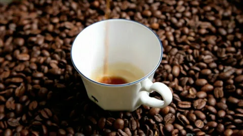 Coffee Video stock 450746