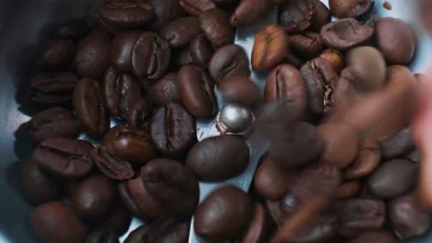 Coffee Stock Footage 231661990