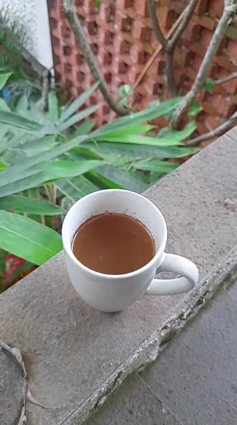Coffee Stock Footage 241687839