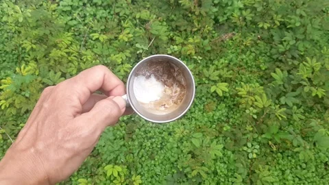 Coffee in Garden Stock Footage 237757337