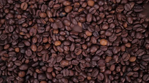 Coffee grain beans falling 4k Stock Footage 149623620