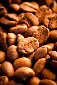 Coffee grain Stock Photos